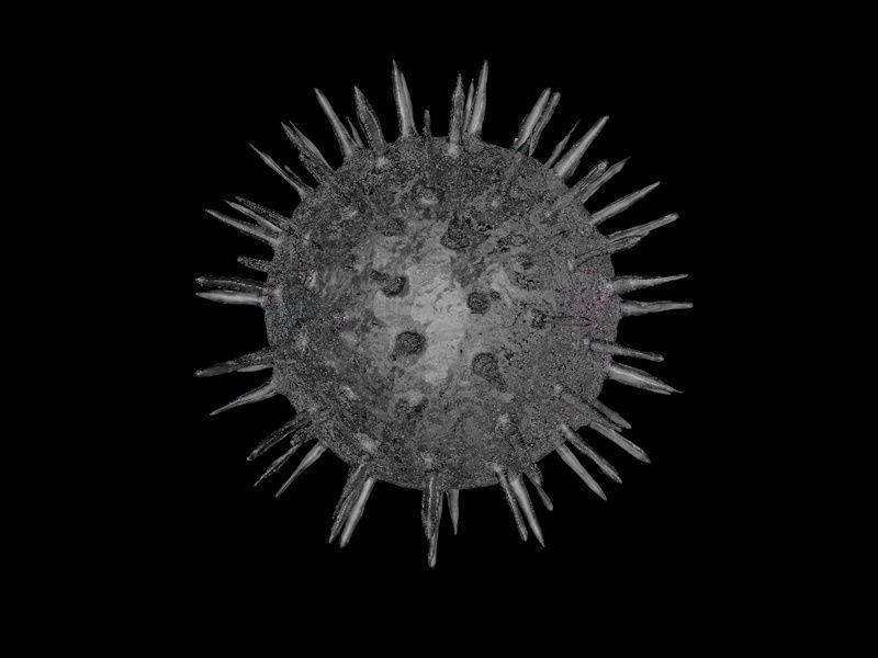 COVID-19 Coronavirus and a set of other viruses 3D model_5