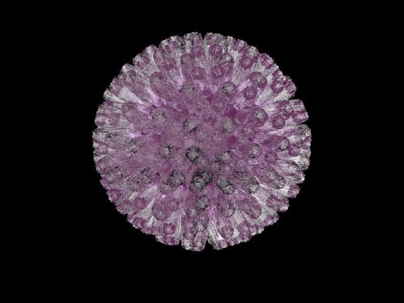 COVID-19 Coronavirus and a set of other viruses 3D model_7