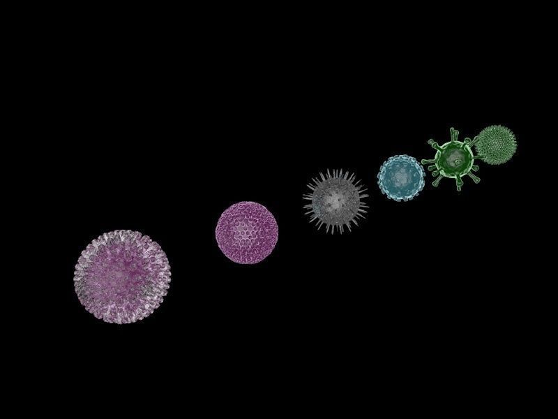 COVID-19 Coronavirus and a set of other viruses 3D model_1