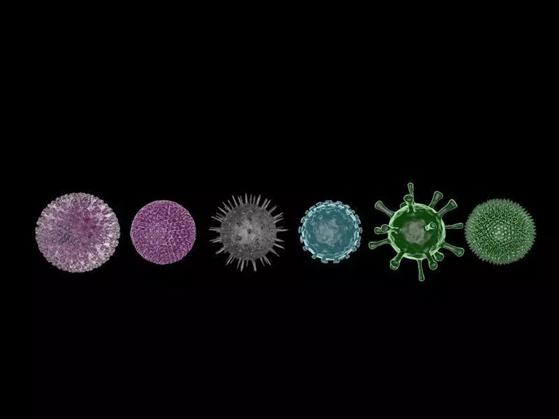 COVID-19 Coronavirus and a set of other viruses 3D model_0