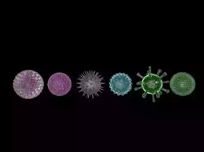 COVID-19 Coronavirus and a set of other viruses