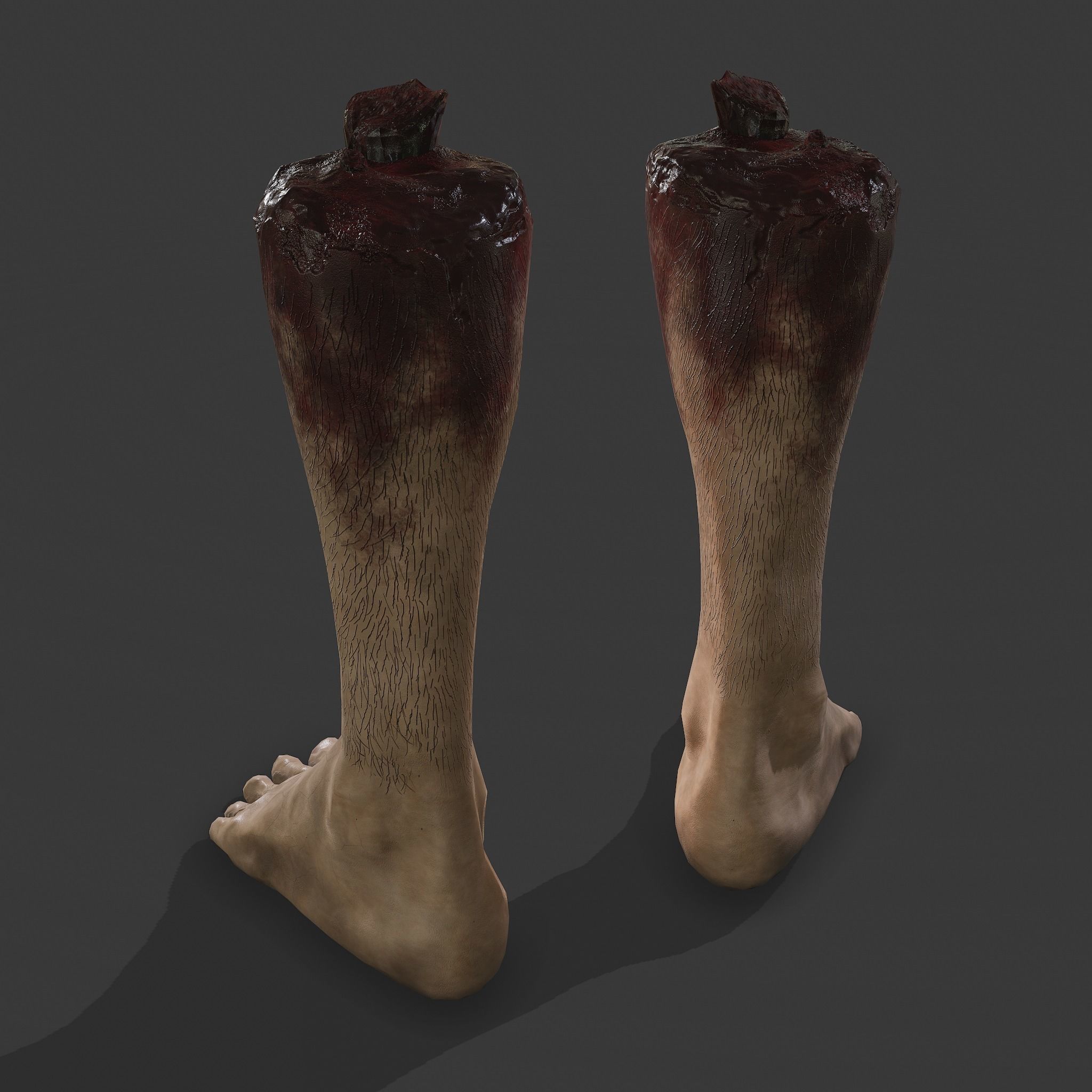 Severed Leg Fresh and Slightly Decomposed Low-poly 3D model_28
