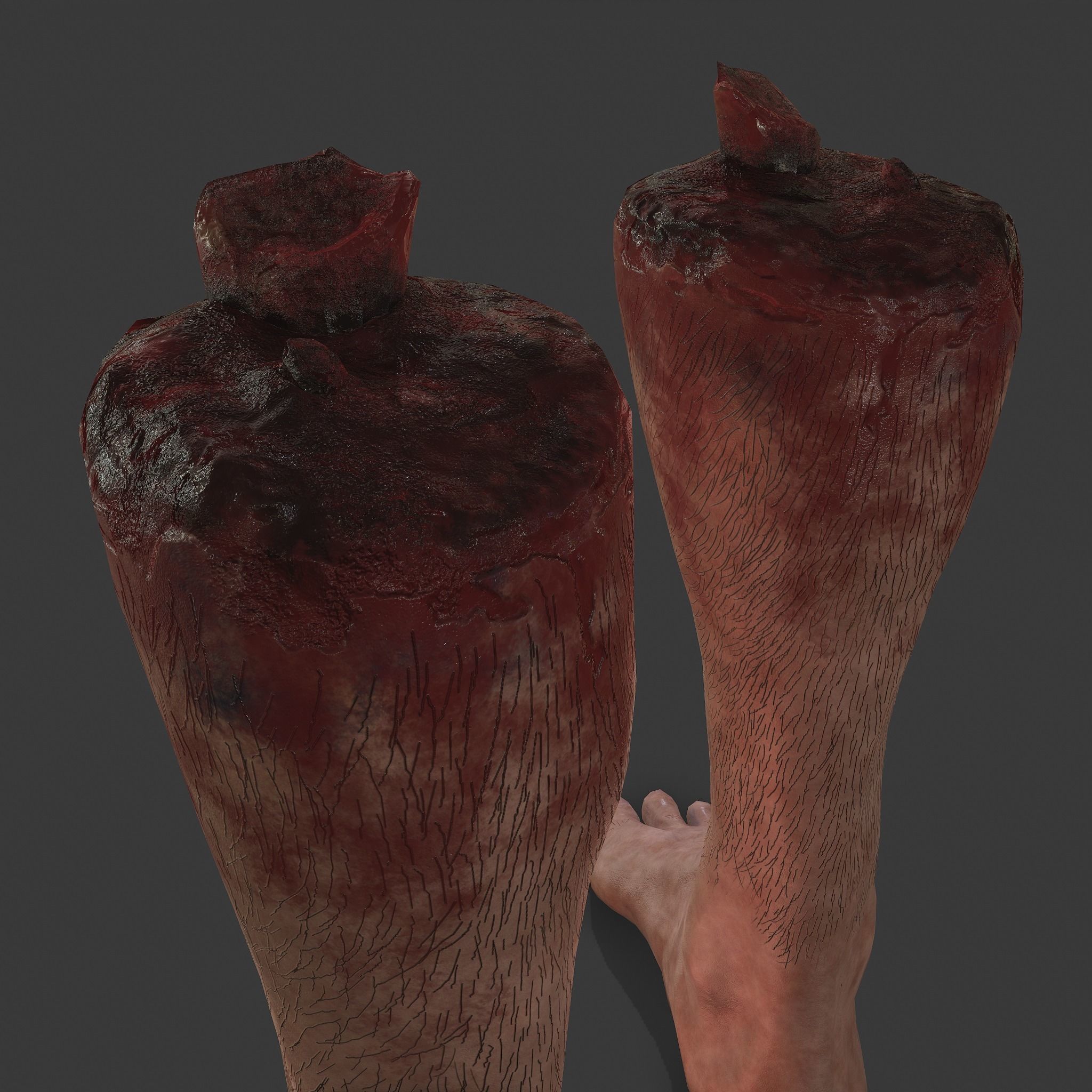 Severed Leg Fresh and Slightly Decomposed Low-poly 3D model_17