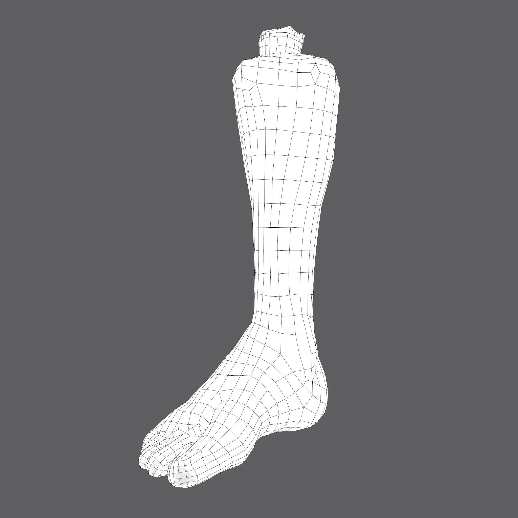 Severed Leg Fresh and Slightly Decomposed Low-poly 3D model_59