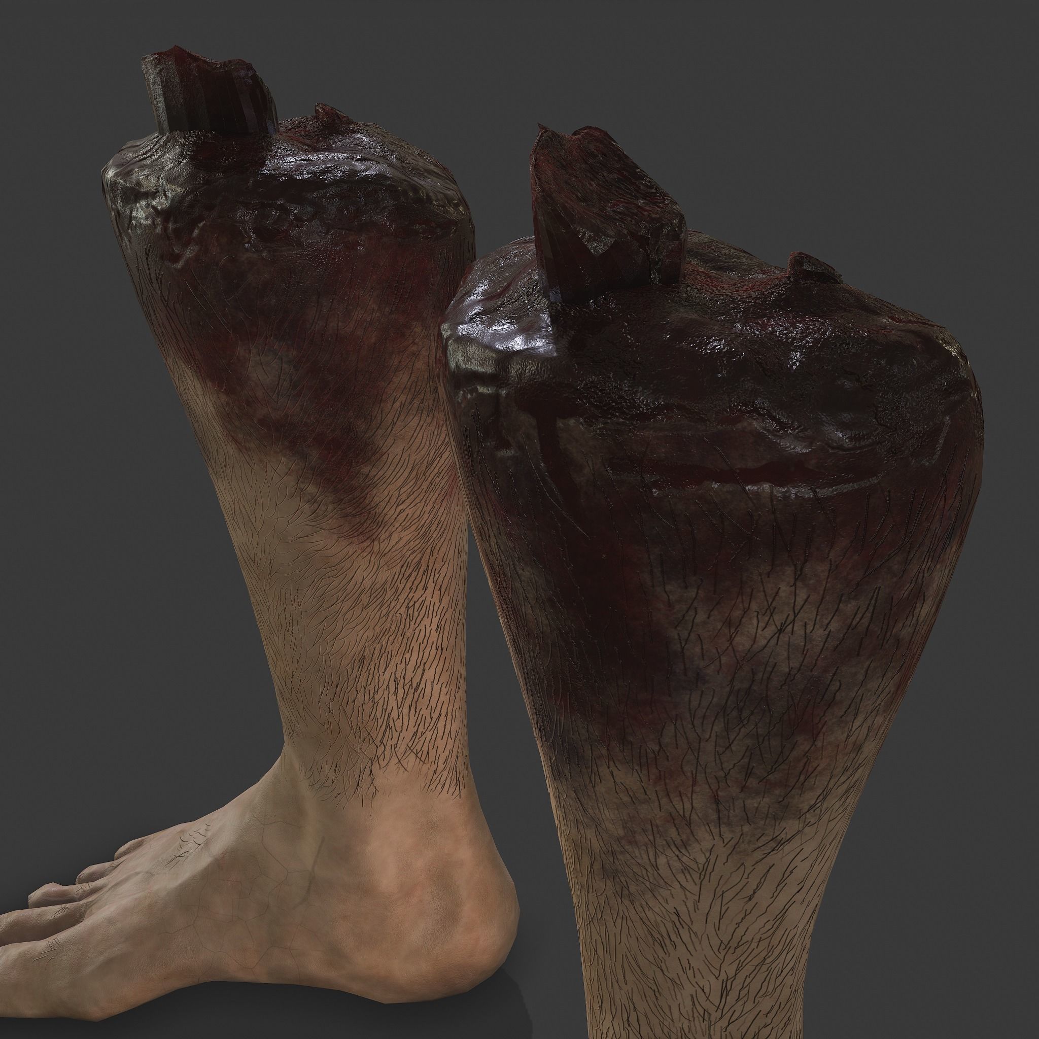 Severed Leg Fresh and Slightly Decomposed Low-poly 3D model_15