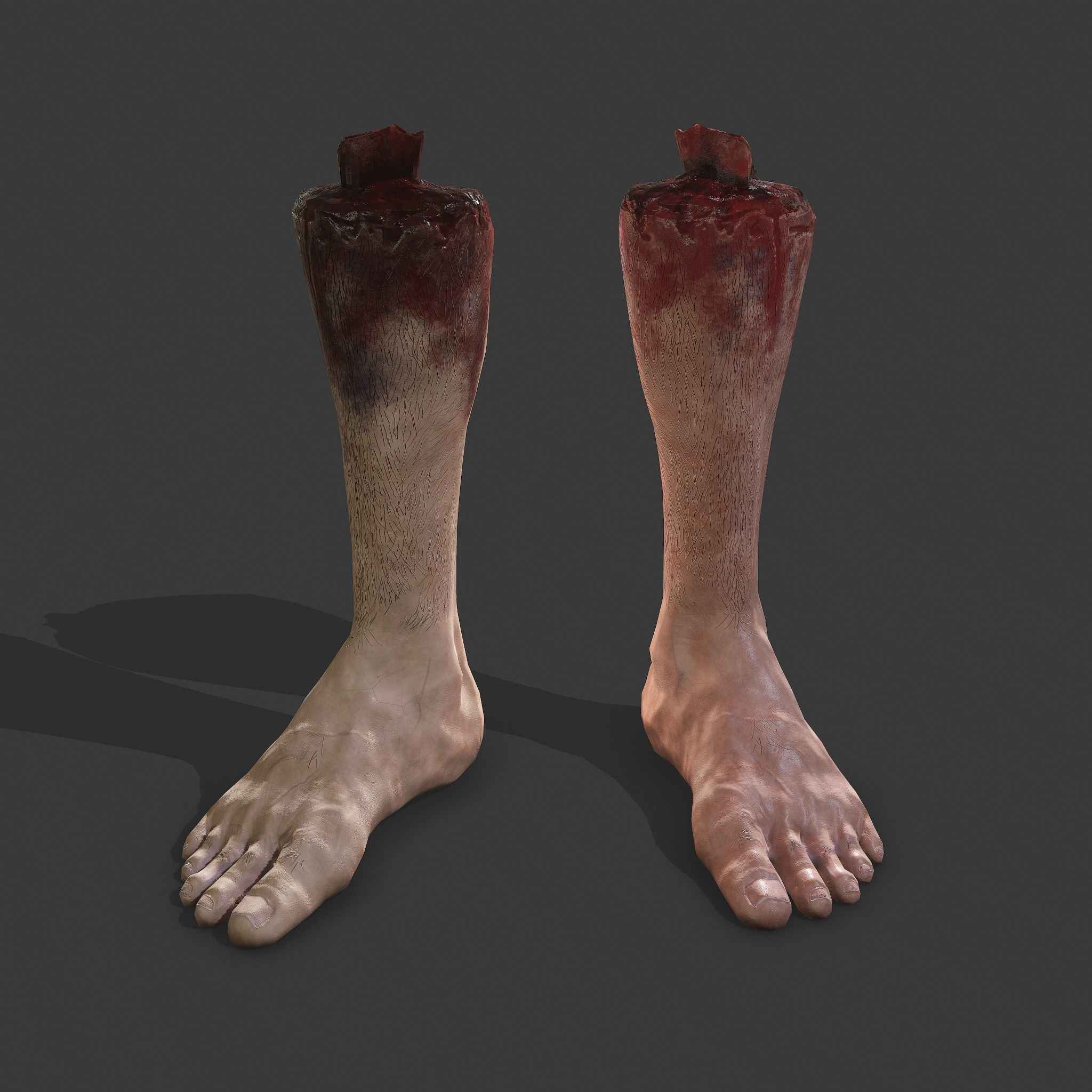 Severed Leg Fresh and Slightly Decomposed Low-poly 3D model_3