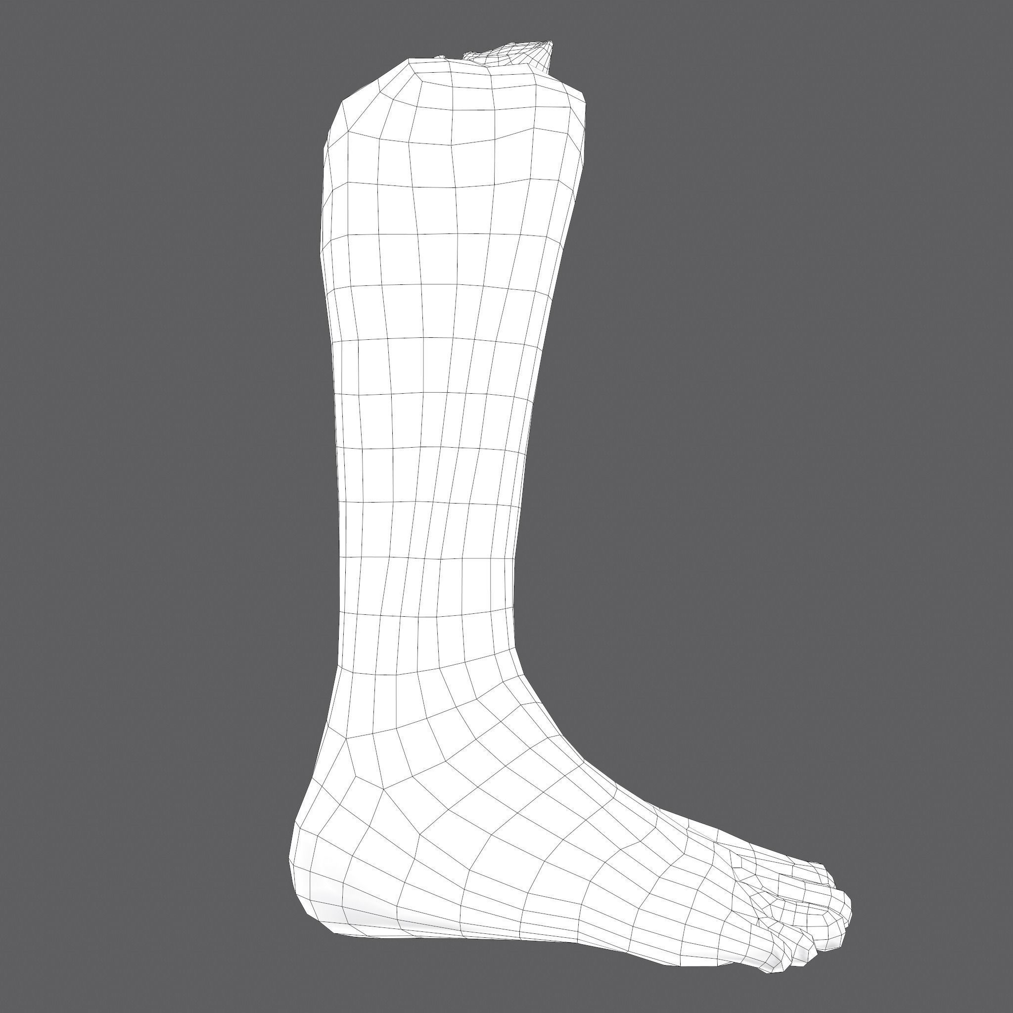 Severed Leg Fresh and Slightly Decomposed Low-poly 3D model_58