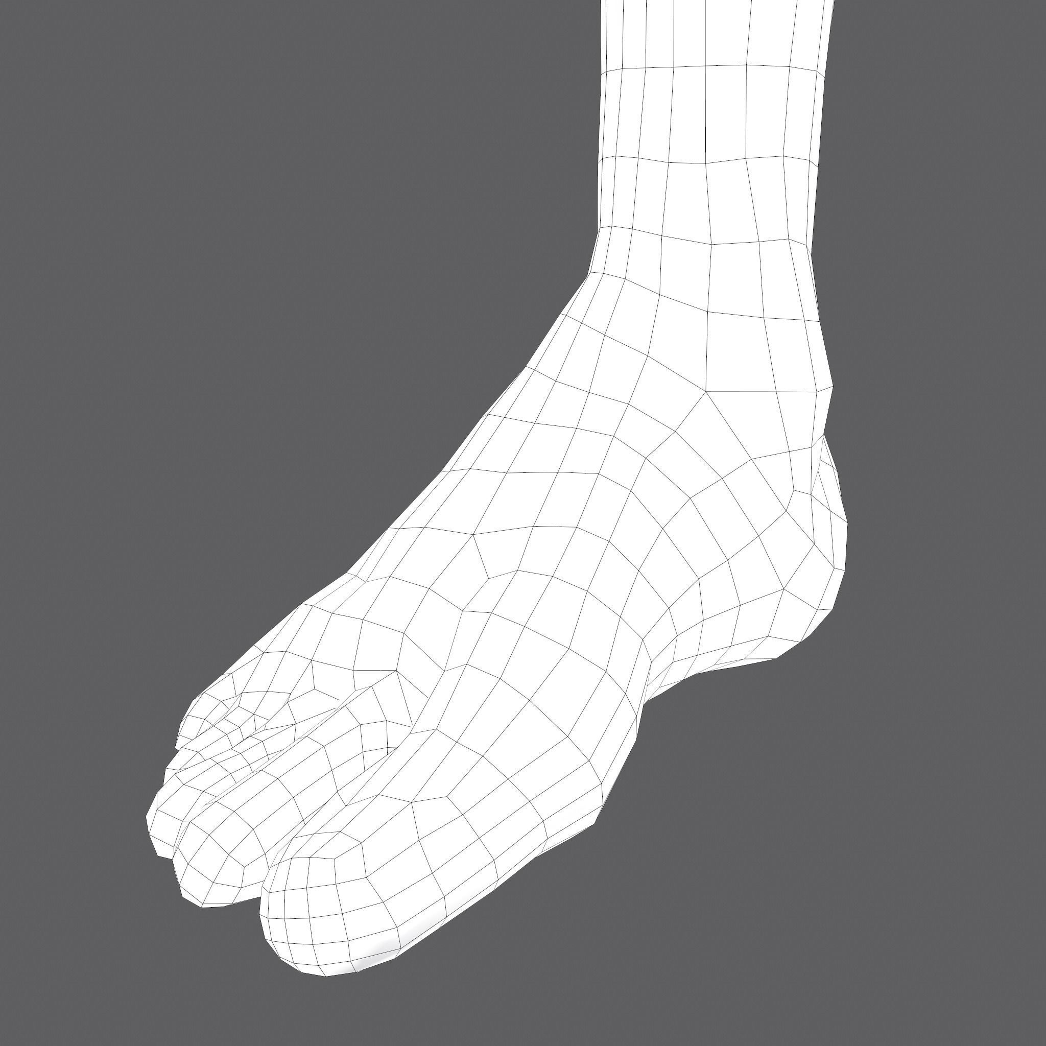 Severed Leg Fresh and Slightly Decomposed Low-poly 3D model_50