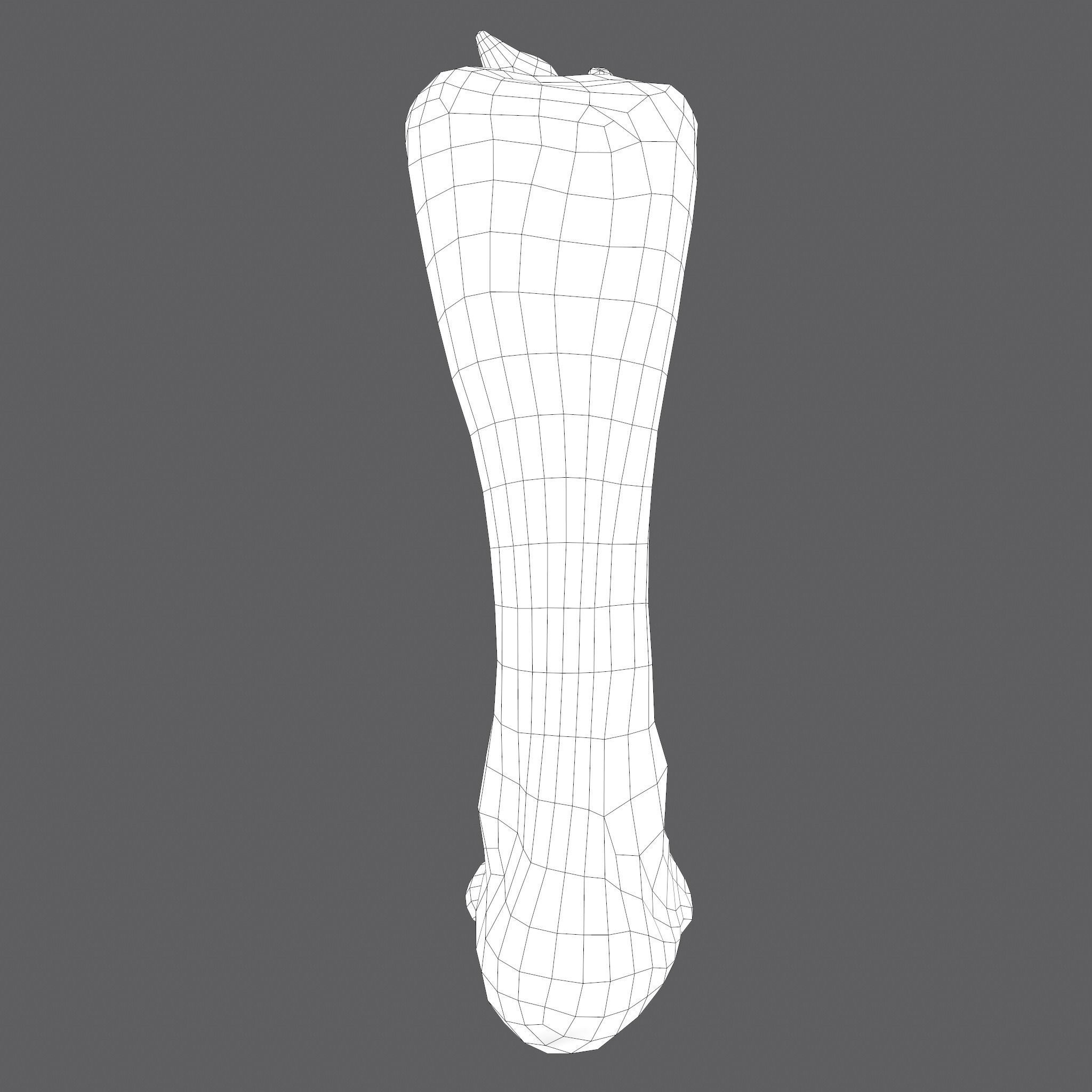 Severed Leg Fresh and Slightly Decomposed Low-poly 3D model_57