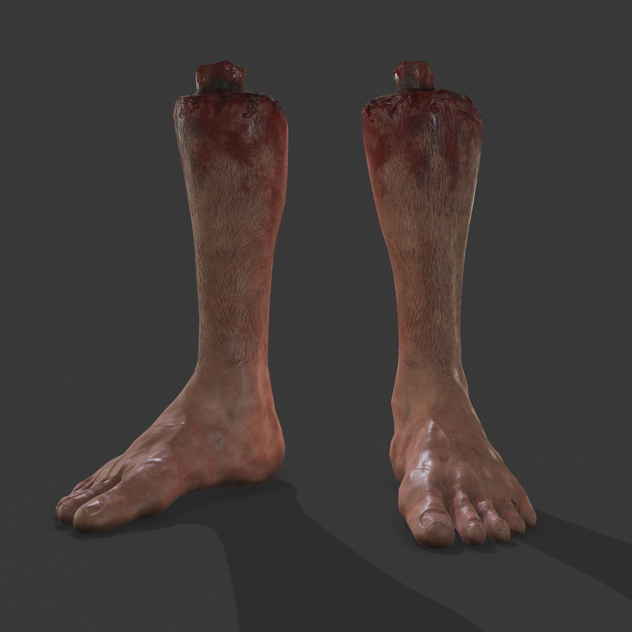Severed Leg Fresh and Slightly Decomposed Low-poly 3D model_37