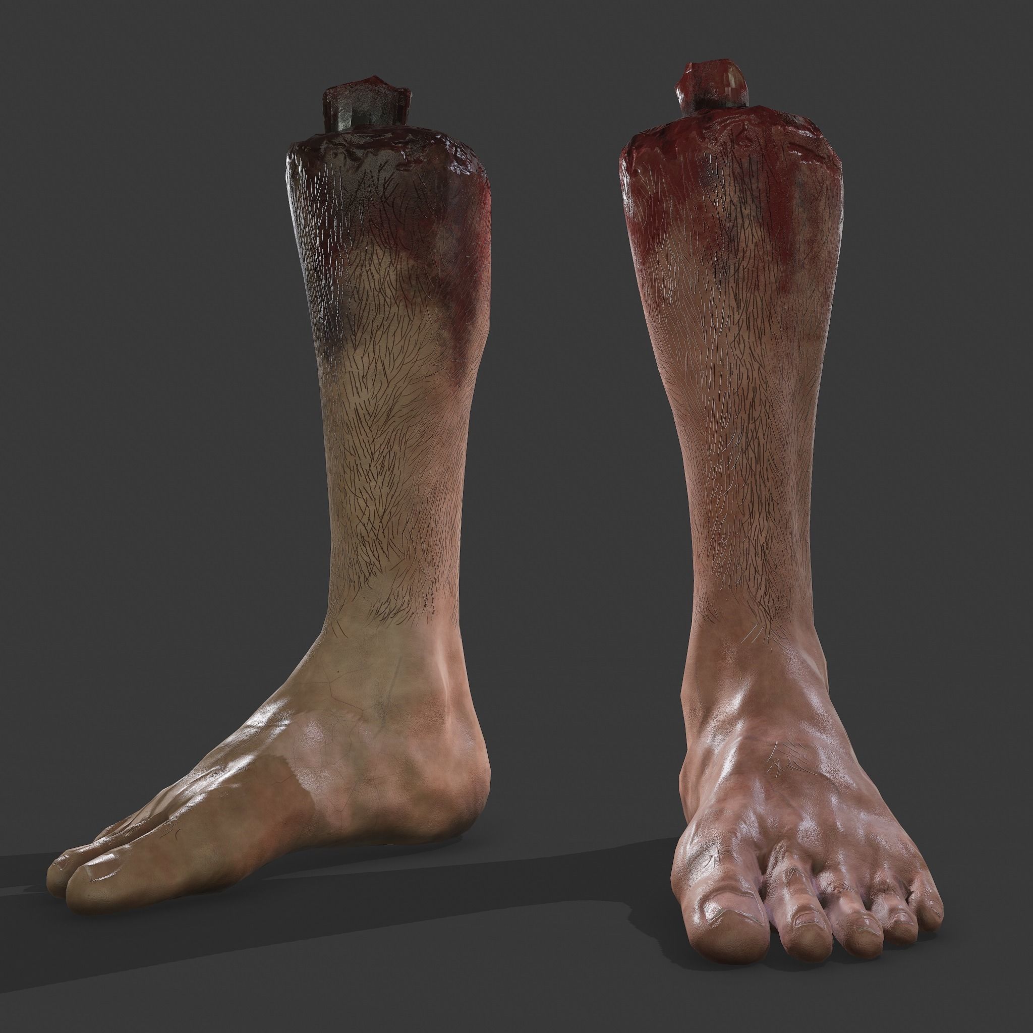 Severed Leg Fresh and Slightly Decomposed Low-poly 3D model_38