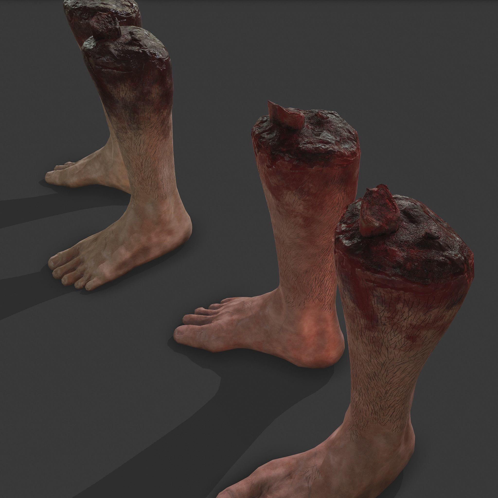Severed Leg Fresh and Slightly Decomposed Low-poly 3D model_19