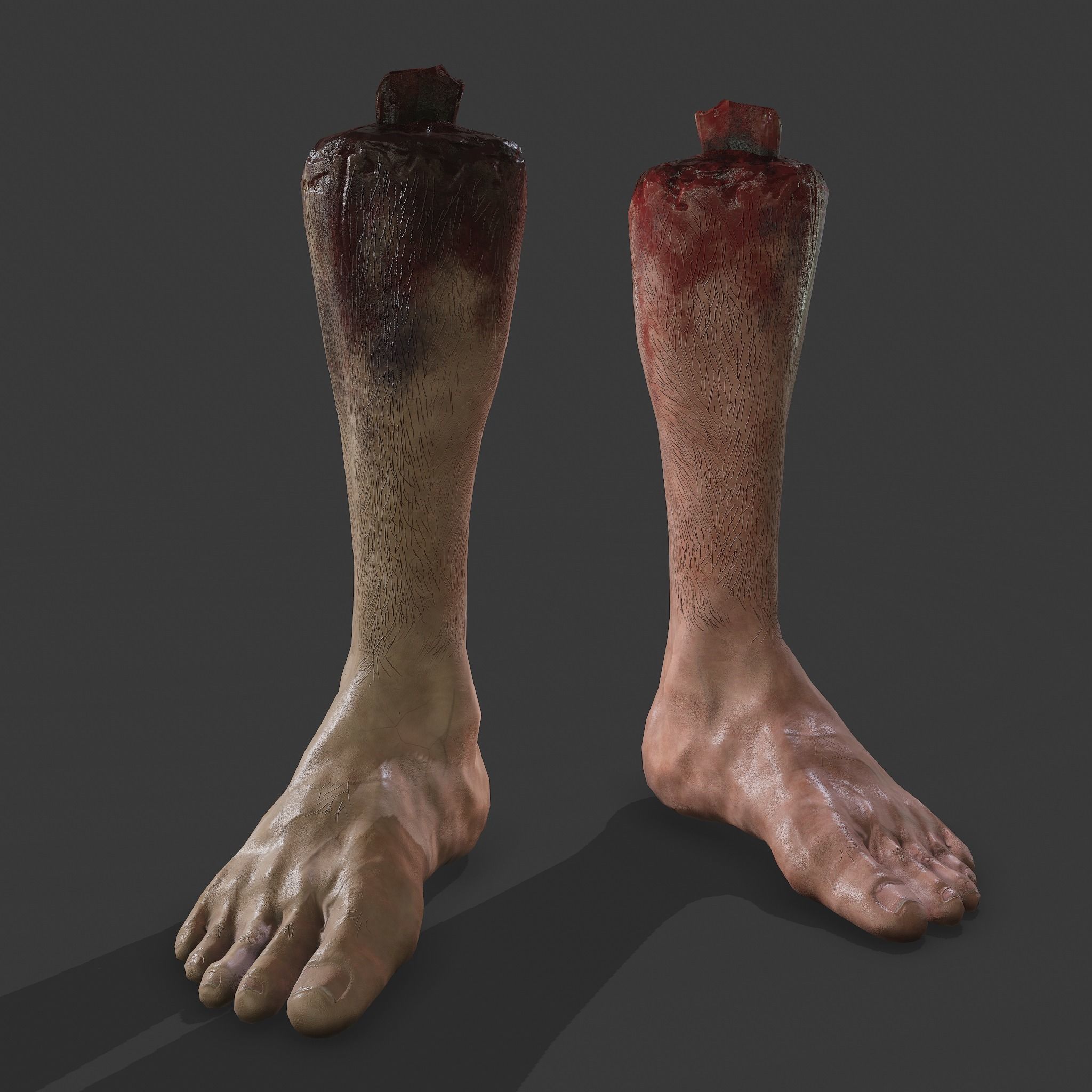 Severed Leg Fresh and Slightly Decomposed Low-poly 3D model_29