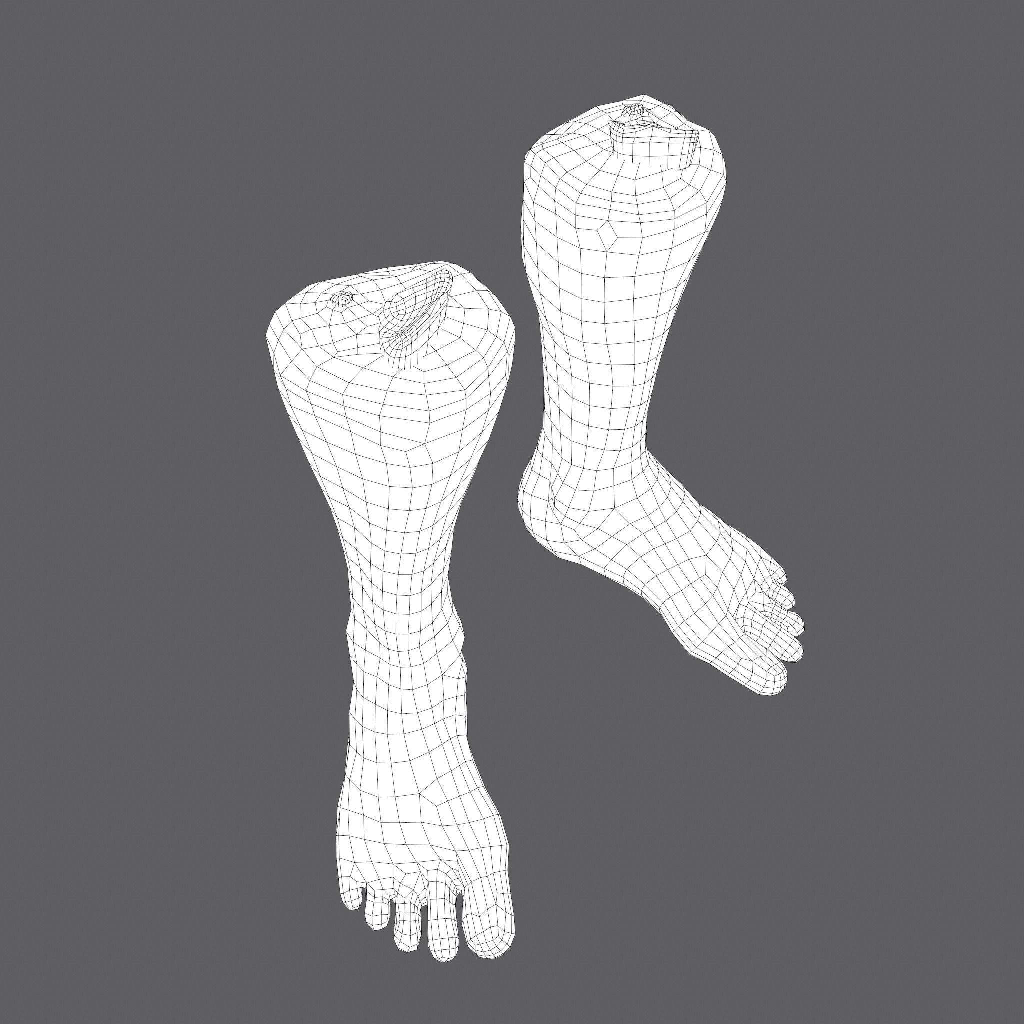Severed Leg Fresh and Slightly Decomposed Low-poly 3D model_45