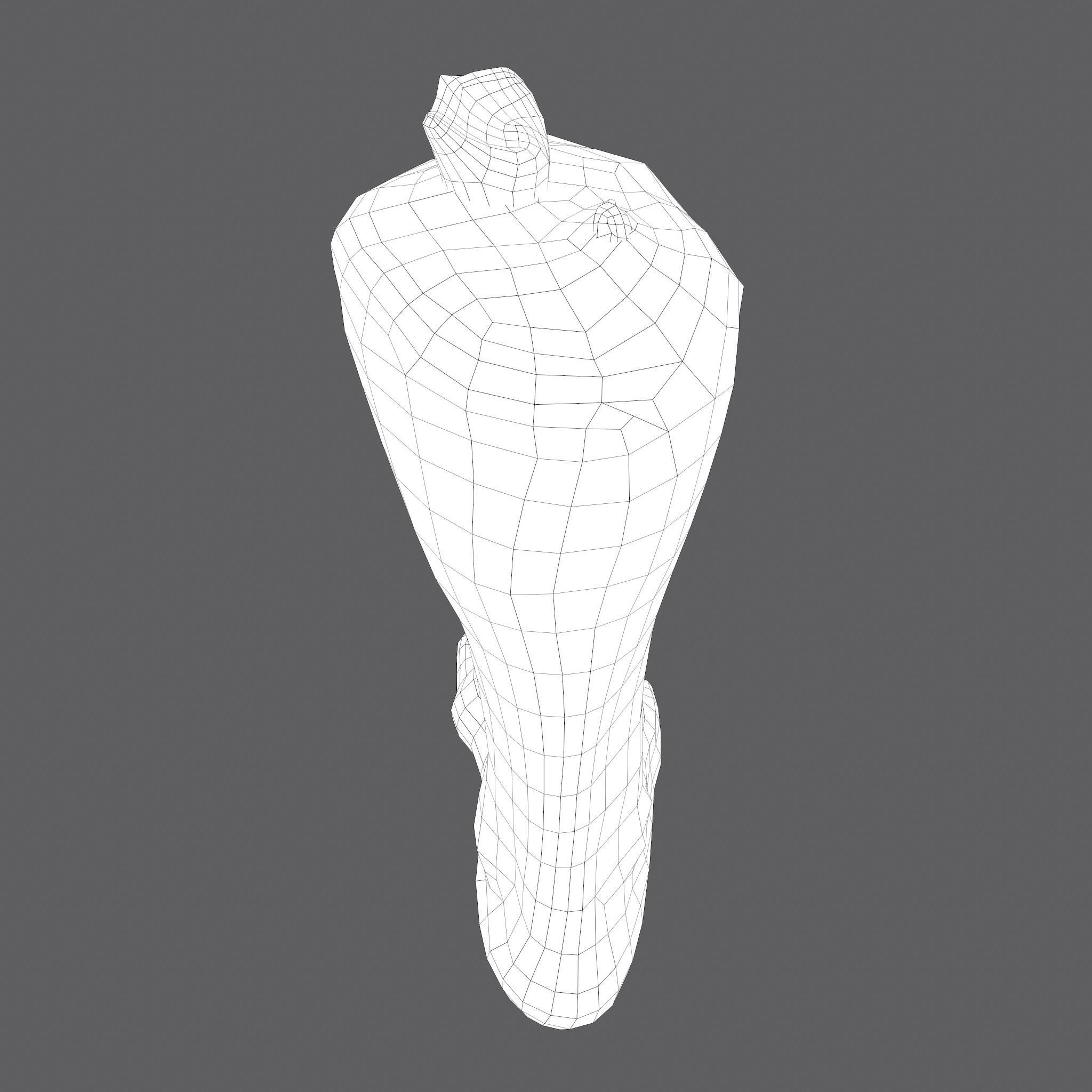 Severed Leg Fresh and Slightly Decomposed Low-poly 3D model_62