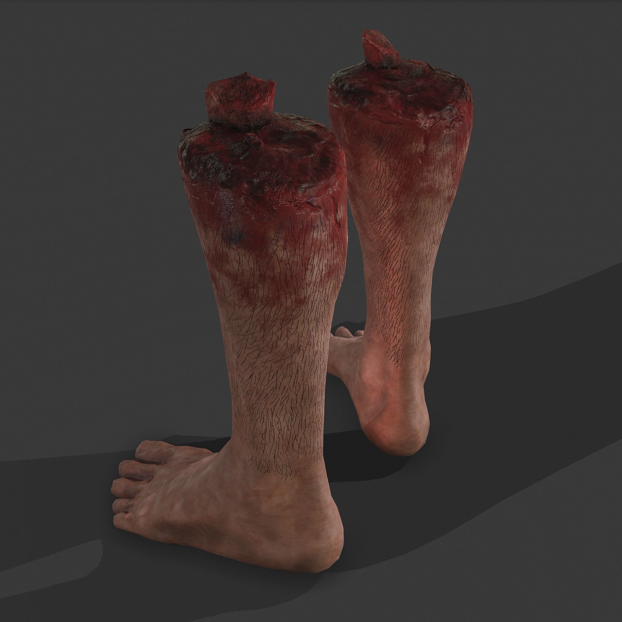 Severed Leg Fresh and Slightly Decomposed Low-poly 3D model_34