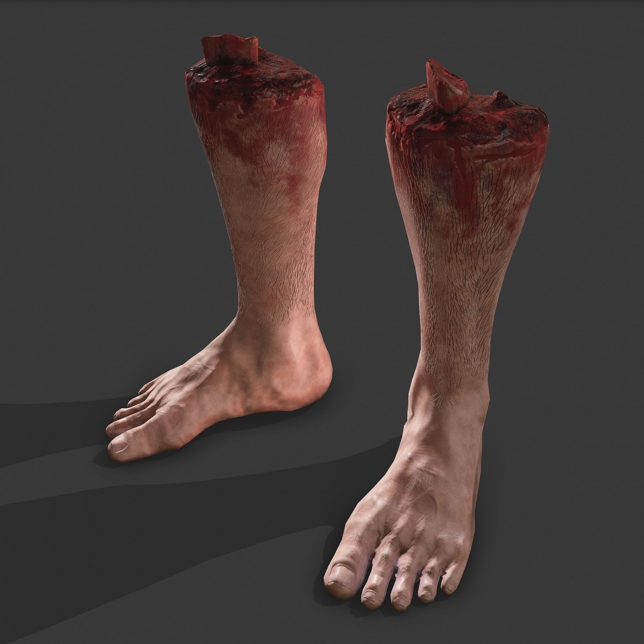 Severed Leg Fresh and Slightly Decomposed Low-poly 3D model_25