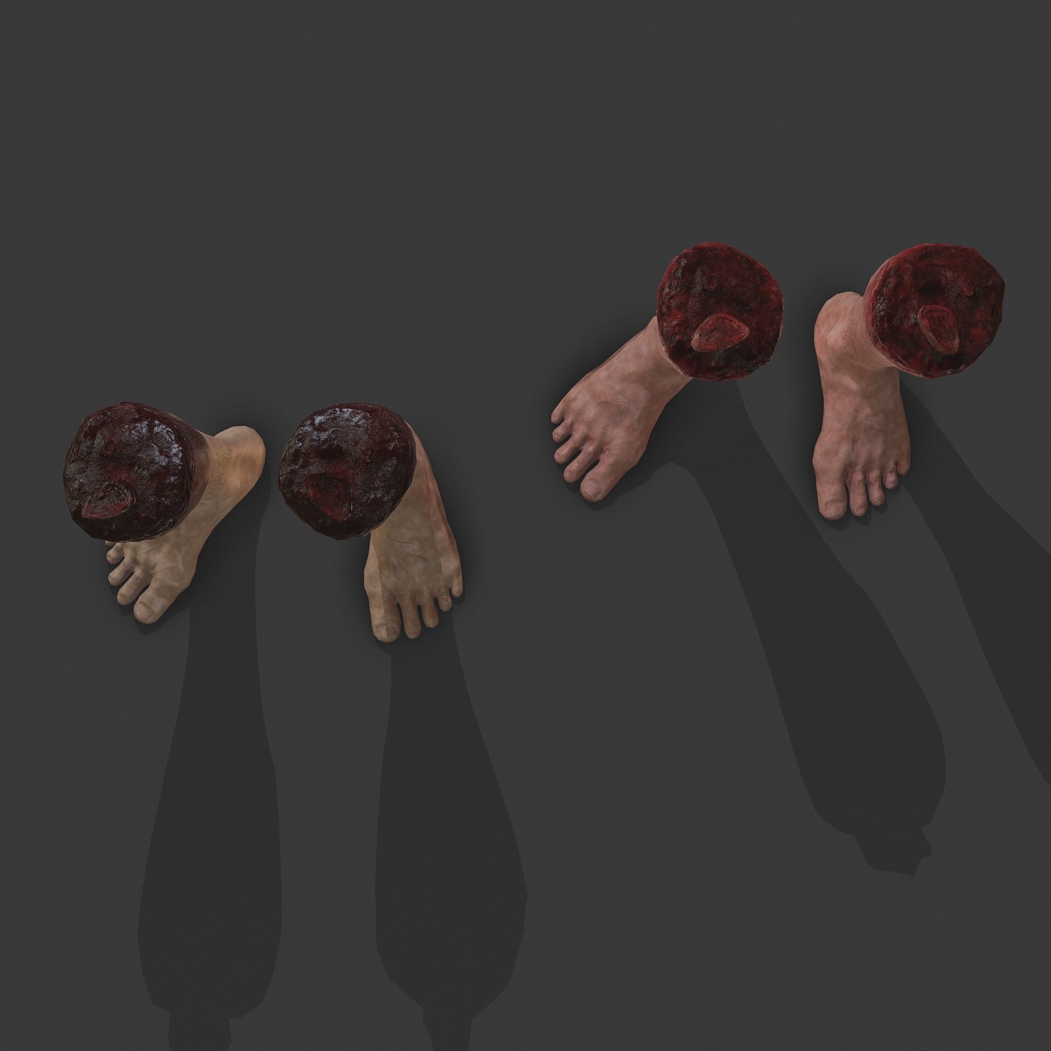Severed Leg Fresh and Slightly Decomposed Low-poly 3D model_14
