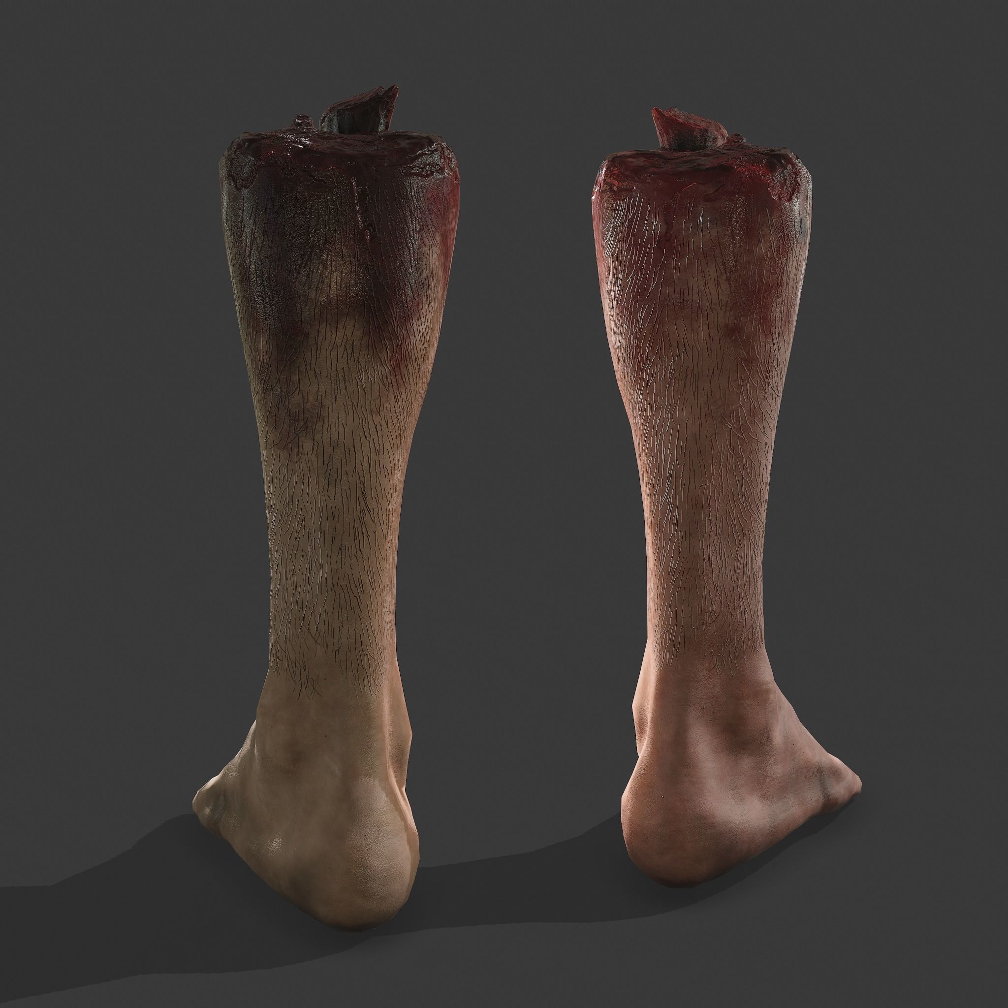 Severed Leg Fresh and Slightly Decomposed Low-poly 3D model_6
