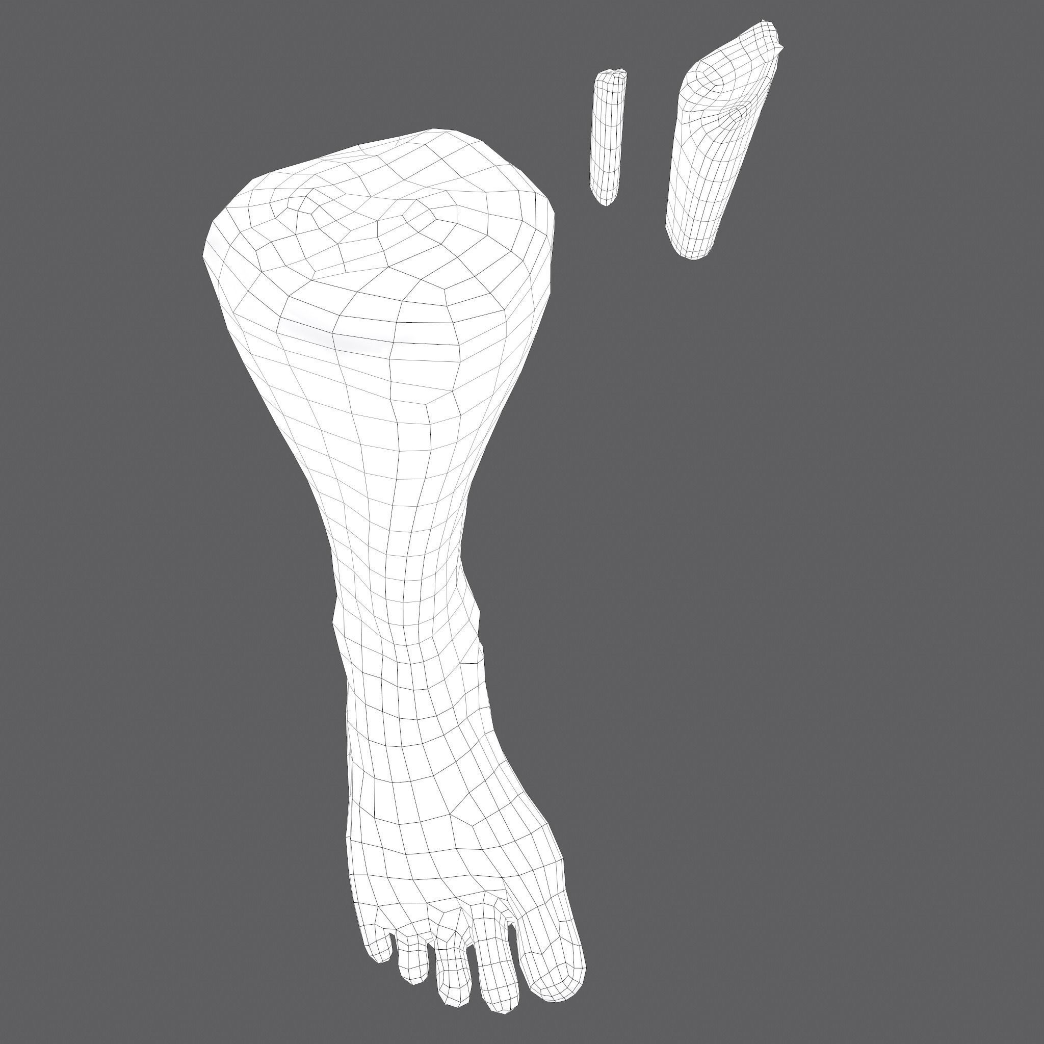Severed Leg Fresh and Slightly Decomposed Low-poly 3D model_61
