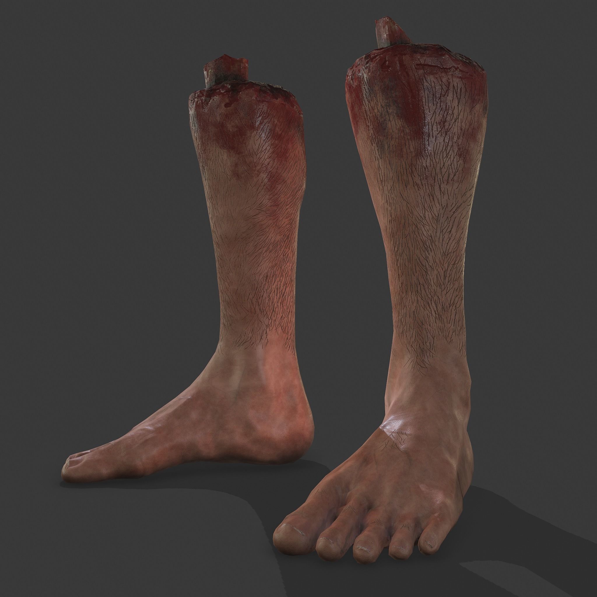 Severed Leg Fresh and Slightly Decomposed Low-poly 3D model_36