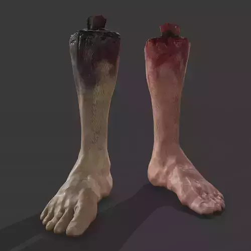 Severed Leg Fresh and Slightly Decomposed Low-poly 3D model