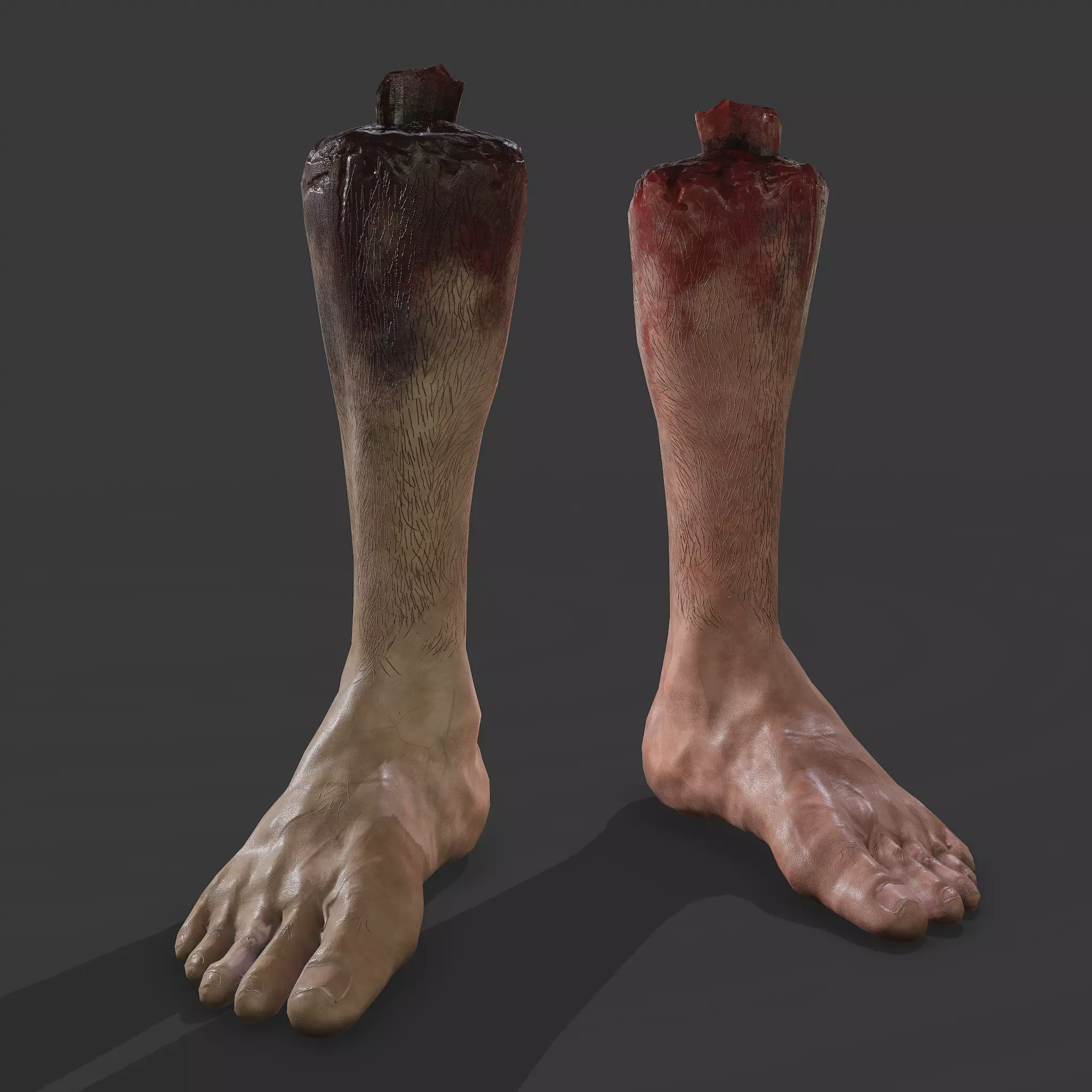 Severed Leg Fresh and Slightly Decomposed Low-poly 3D model_0
