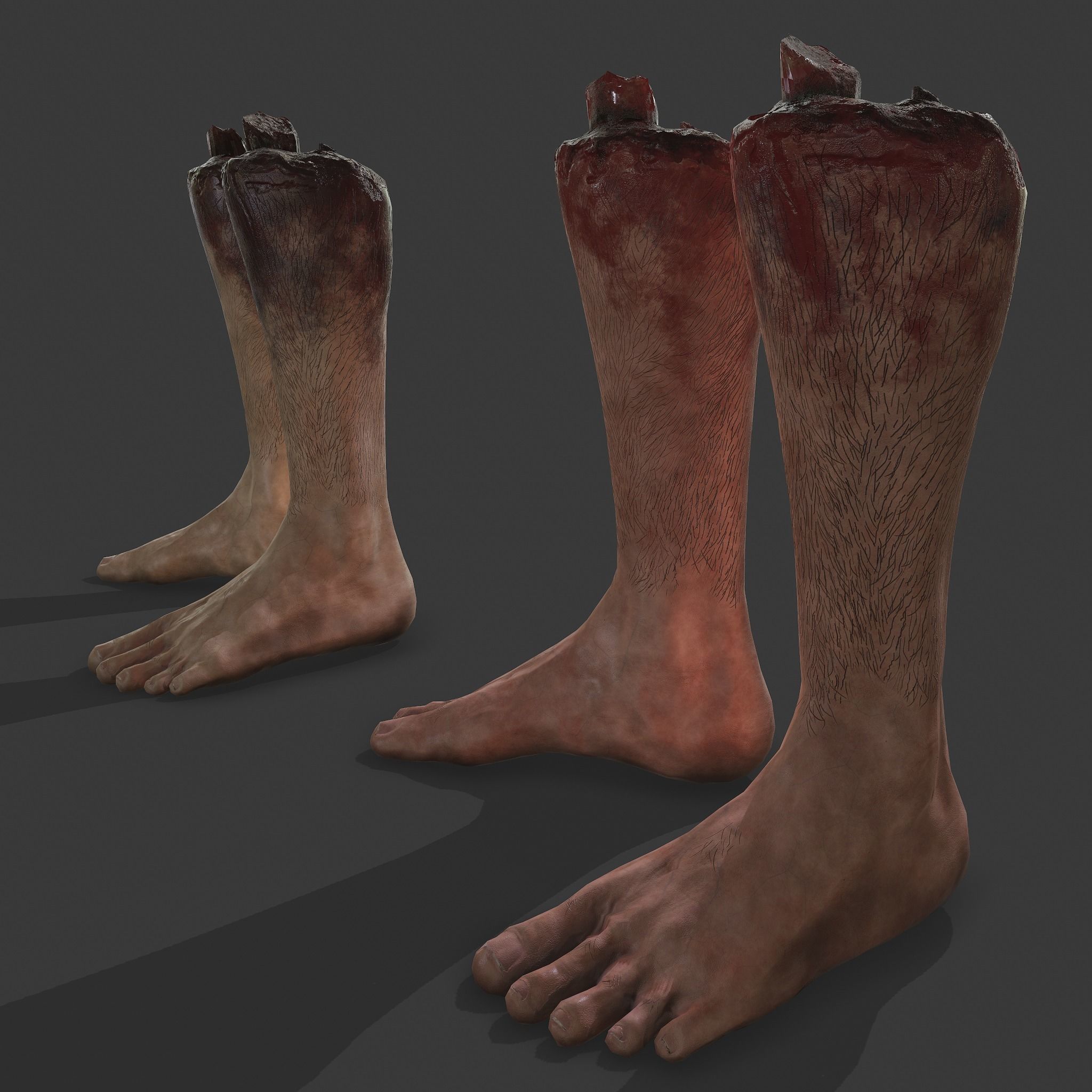 Severed Leg Fresh and Slightly Decomposed Low-poly 3D model_18