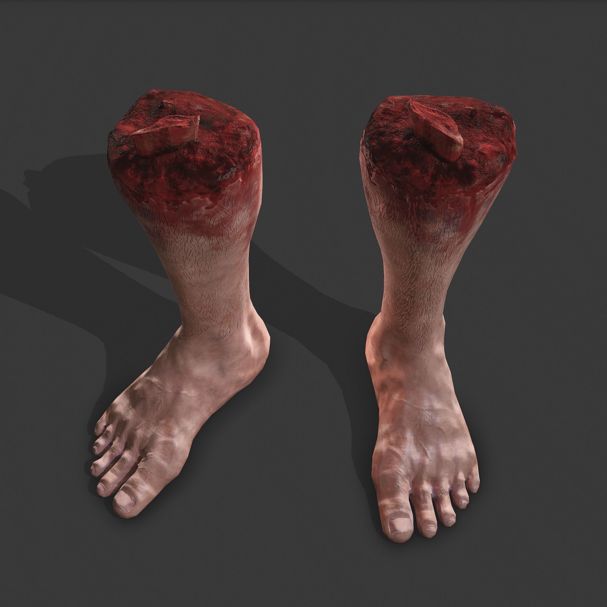 Severed Leg Fresh and Slightly Decomposed Low-poly 3D model_8