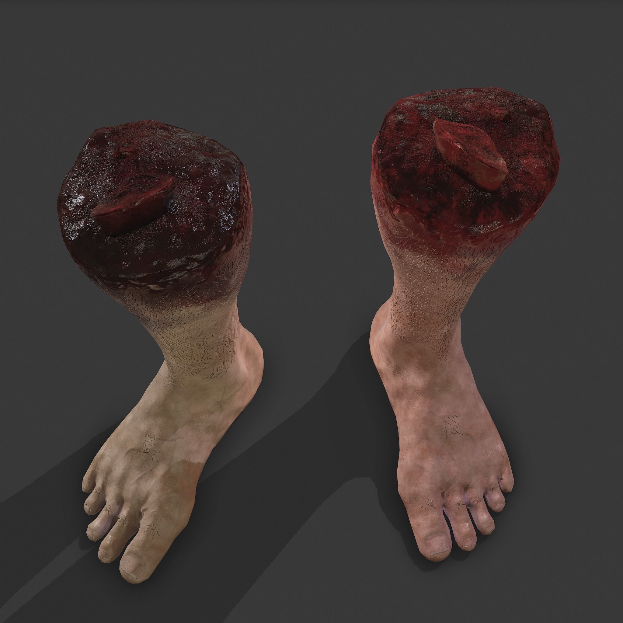 Severed Leg Fresh and Slightly Decomposed Low-poly 3D model_39