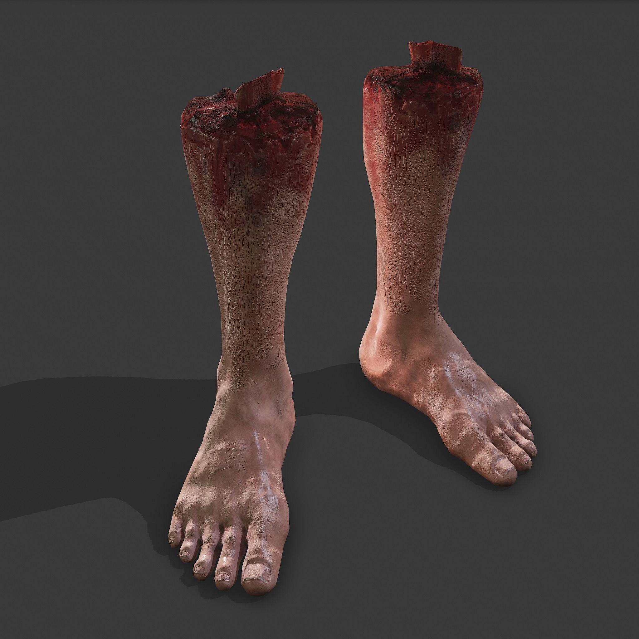 Severed Leg Fresh and Slightly Decomposed Low-poly 3D model_31