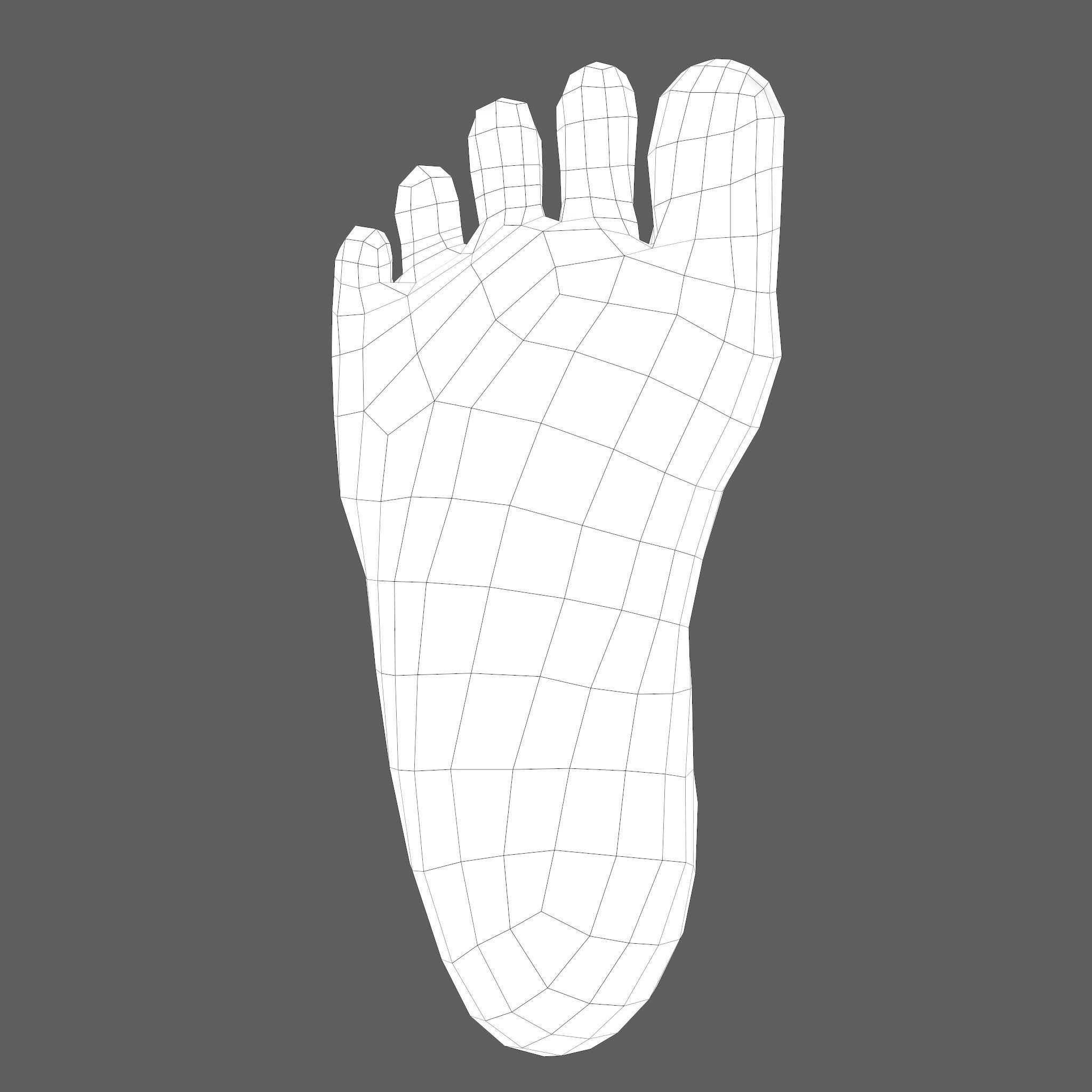 Severed Leg Fresh and Slightly Decomposed Low-poly 3D model_54