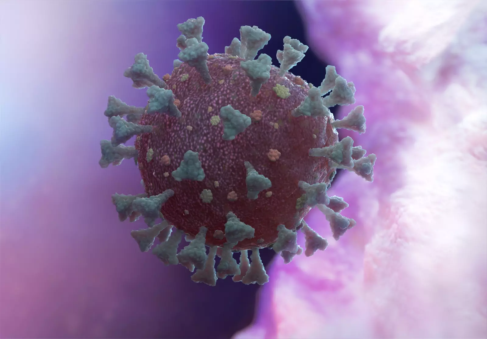 Corona Virus 3D model