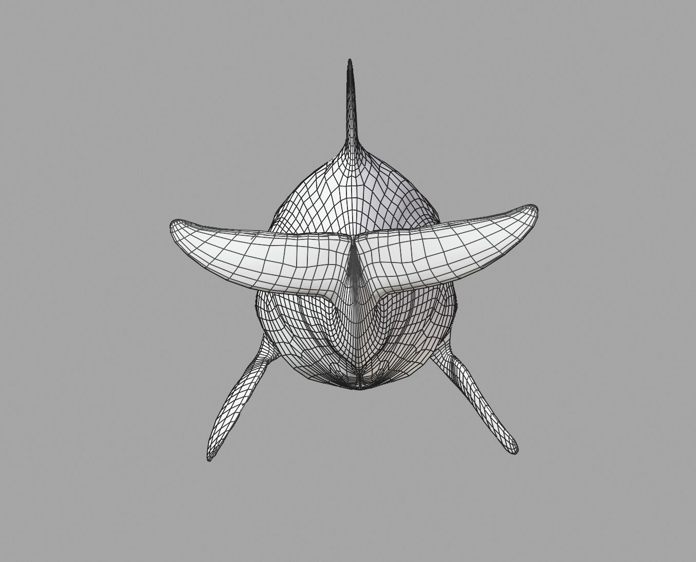 Delphinus Dolphi Animated 3D model_23