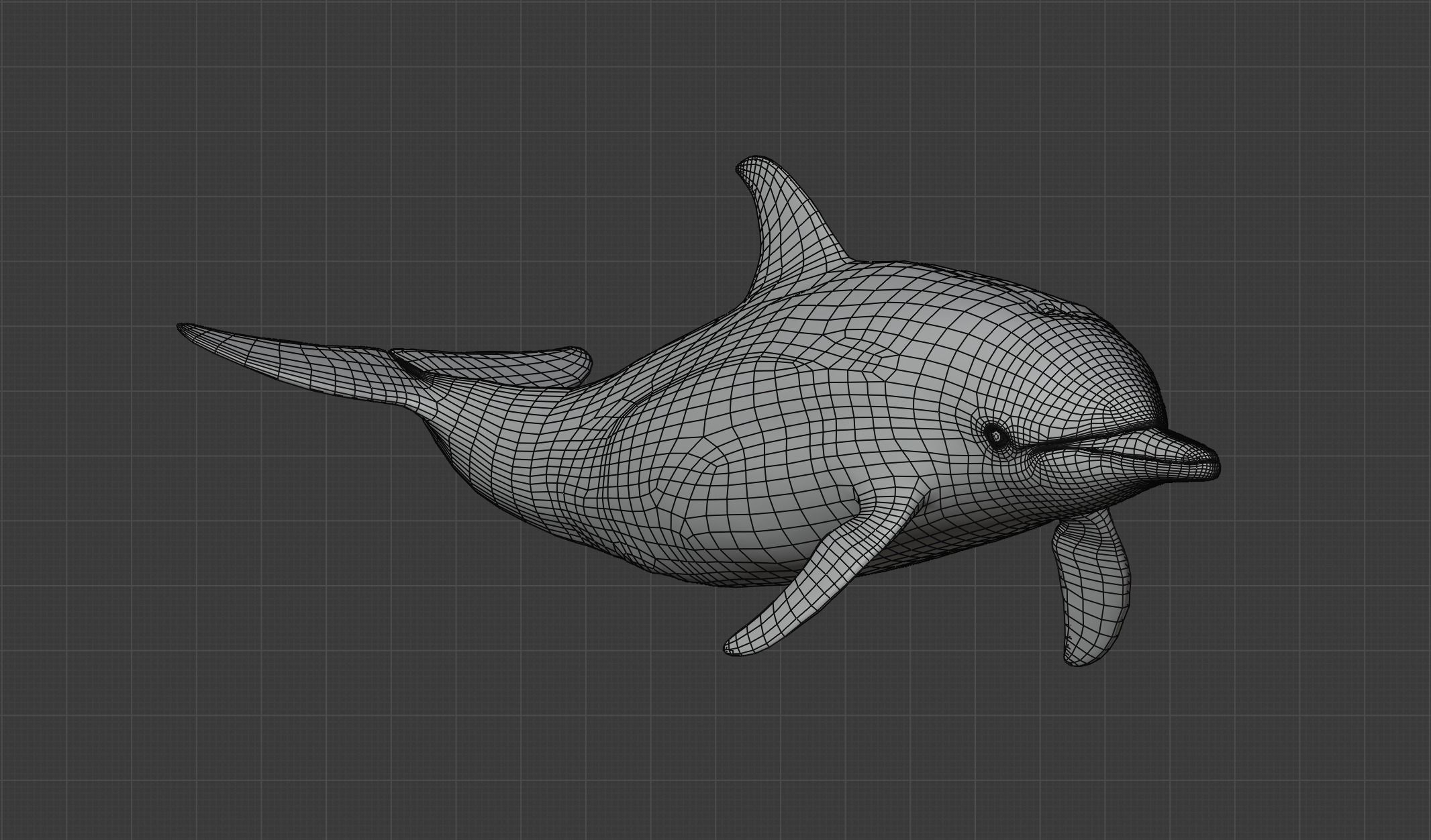 Delphinus Dolphi Animated 3D model_21