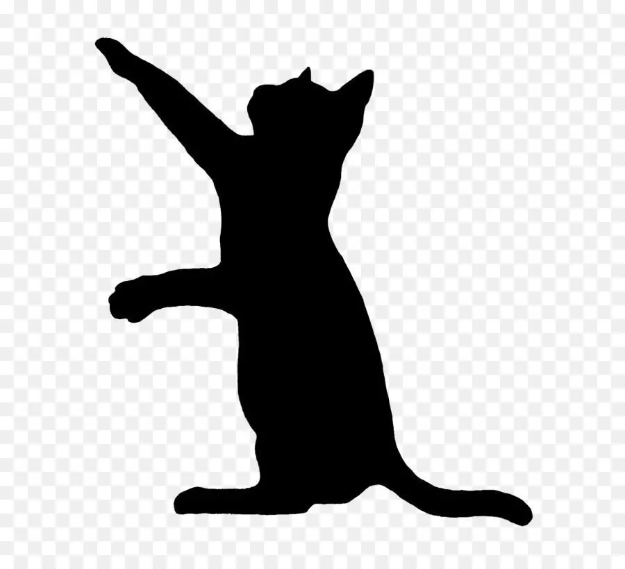 cat jpg Free 3D model