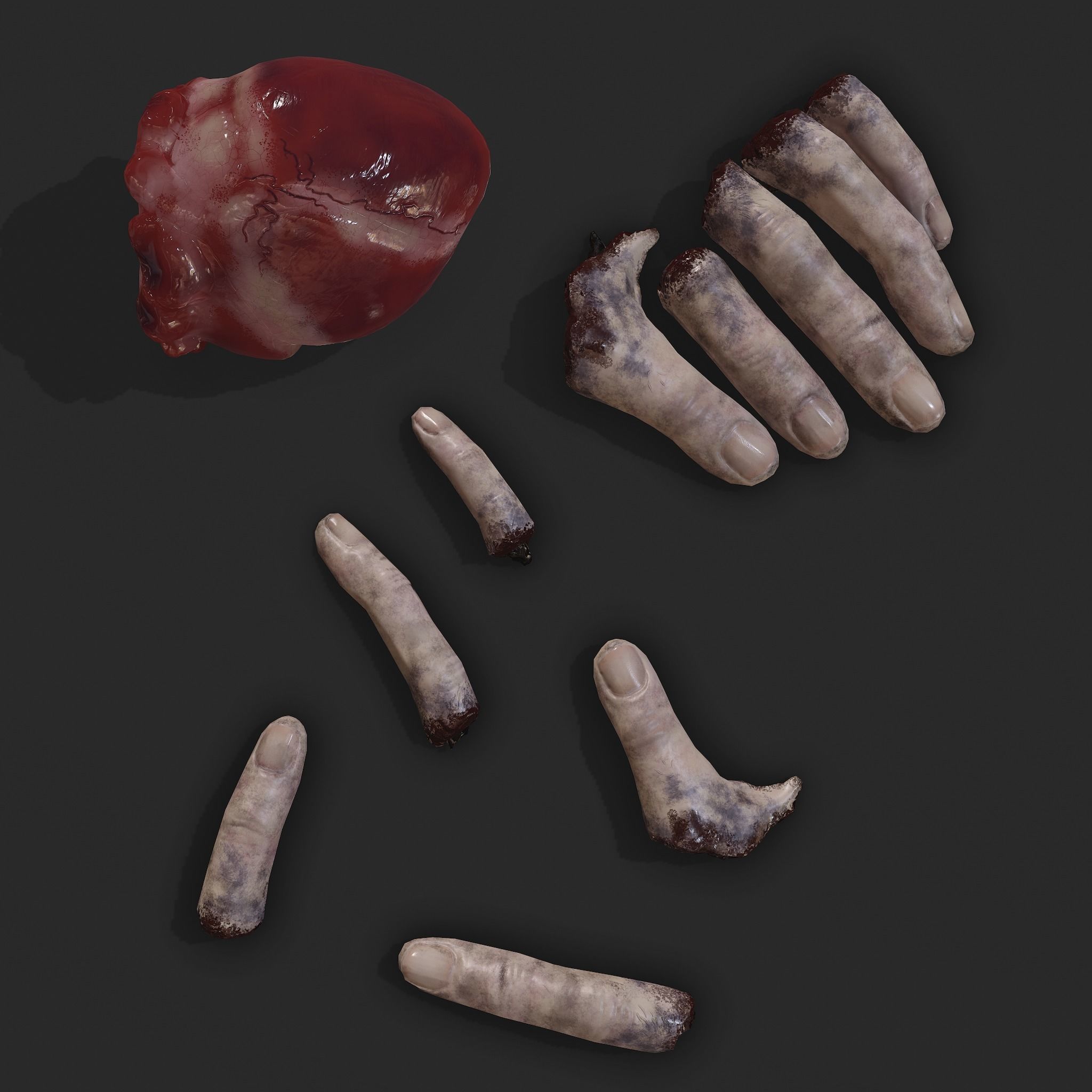 Severed Fingers and Heart 3D Model Set 3D Model Collection_5
