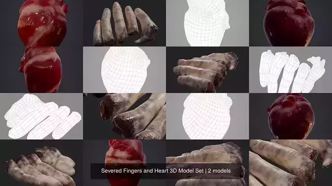 Severed Fingers and Heart 3D Model Set