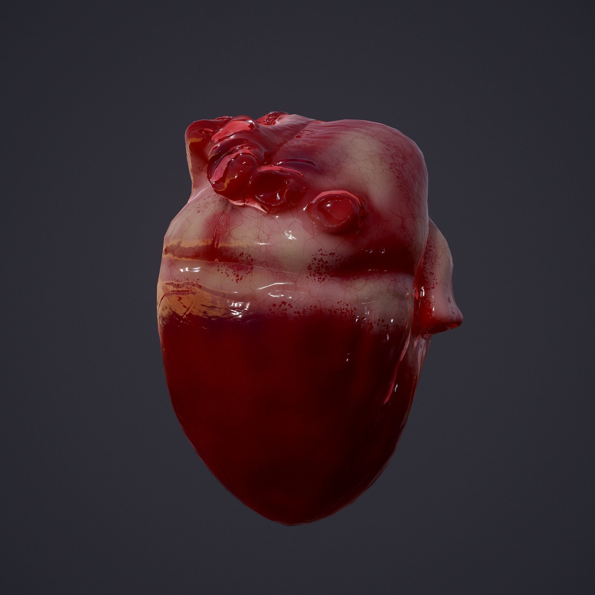 Severed Fingers and Heart 3D Model Set 3D Model Collection_11