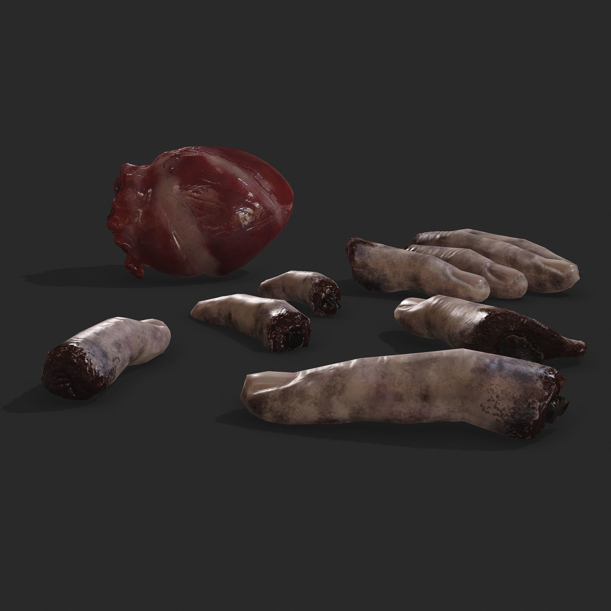Severed Fingers and Heart 3D Model Set 3D Model Collection_4