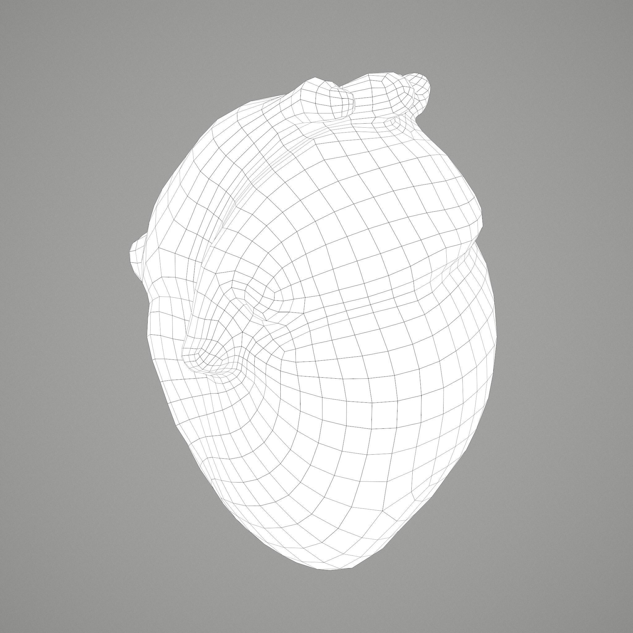 Severed Fingers and Heart 3D Model Set 3D Model Collection_35