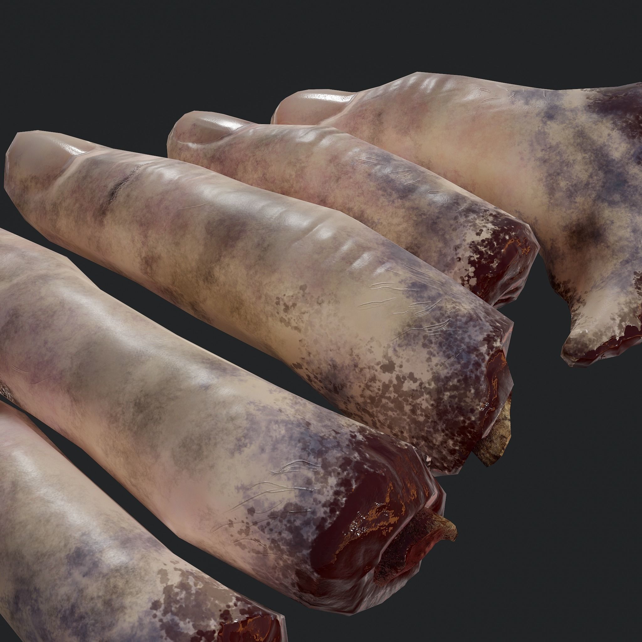 Severed Fingers and Heart 3D Model Set 3D Model Collection_26