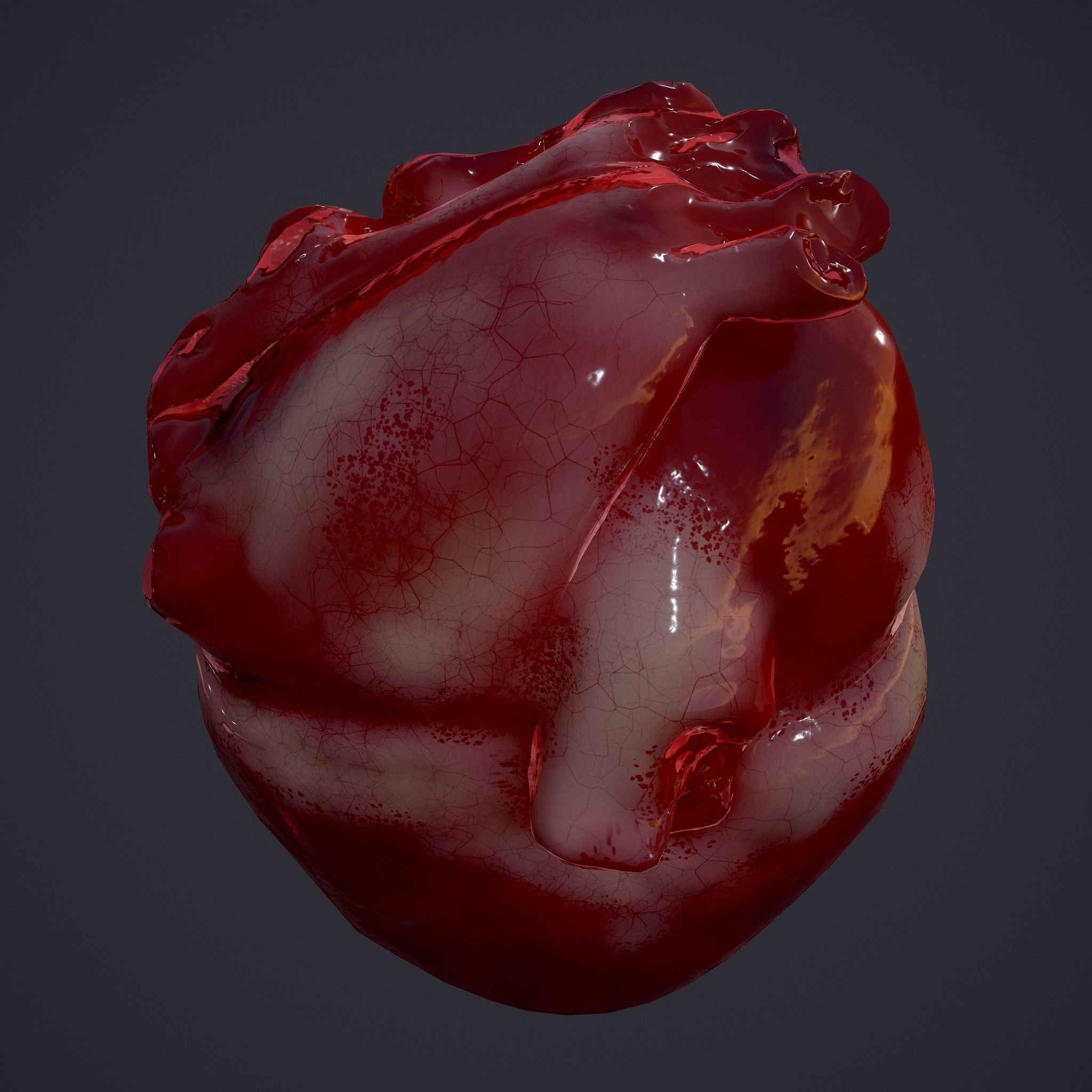 Severed Fingers and Heart 3D Model Set 3D Model Collection_31