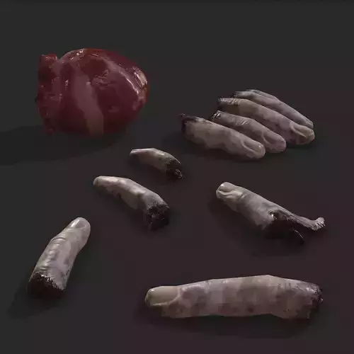 Severed Fingers and Heart 3D Model Set 3D Model Collection