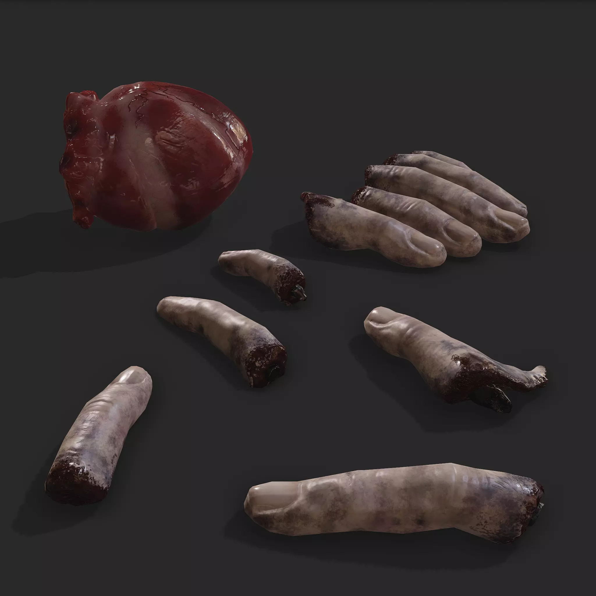 Severed Fingers and Heart 3D Model Set 3D Model Collection_0