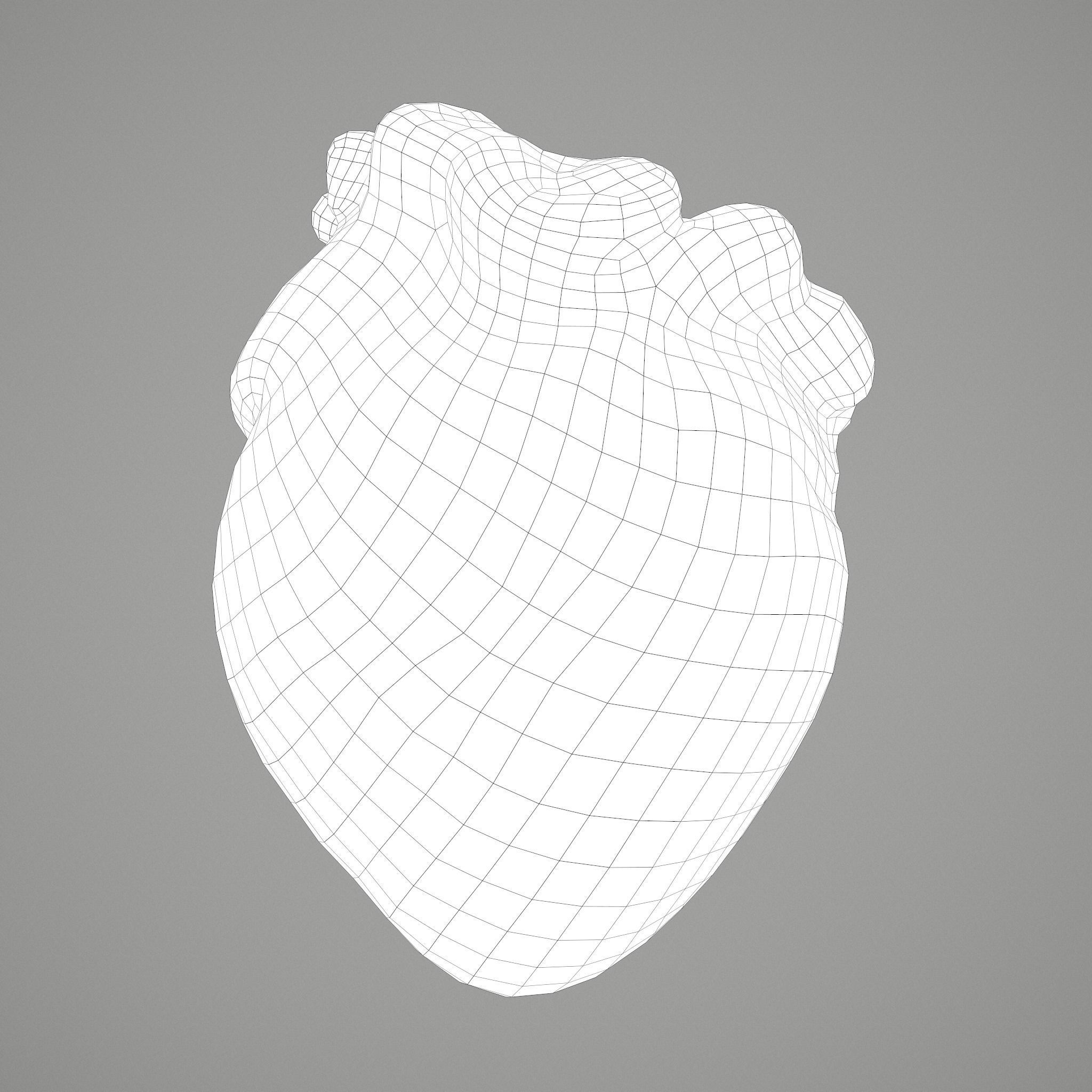 Severed Fingers and Heart 3D Model Set 3D Model Collection_33