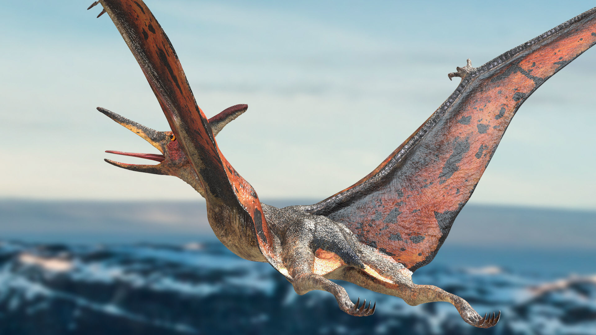Pteranodon Rigged Animated 3D model Low-poly 3D model_12
