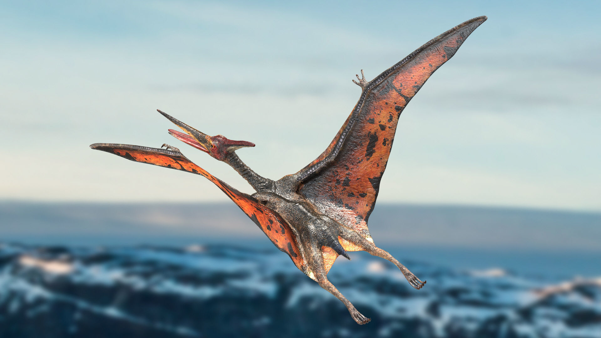 Pteranodon Rigged Animated 3D model Low-poly 3D model_11