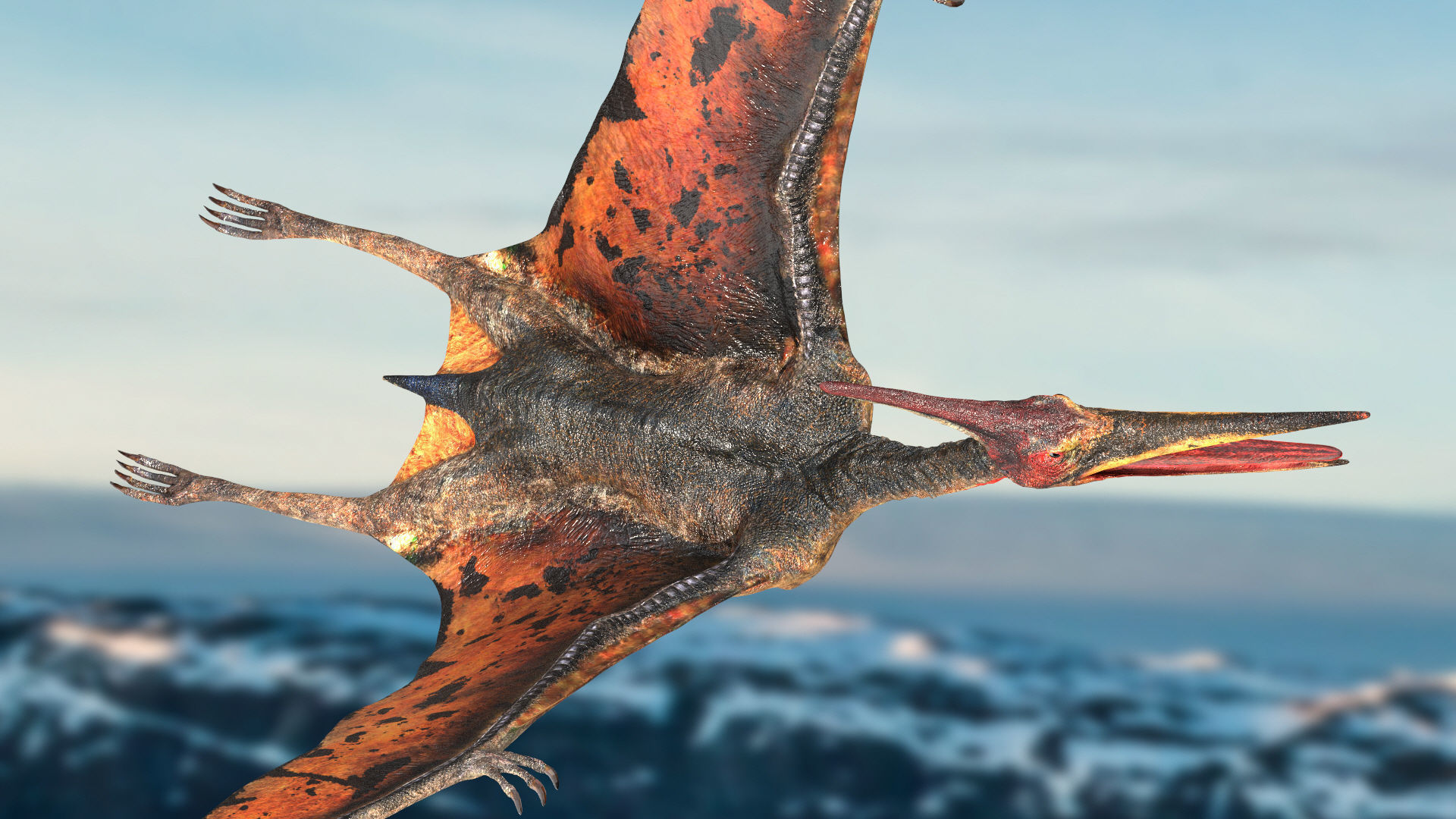 Pteranodon Rigged Animated 3D model Low-poly 3D model_6