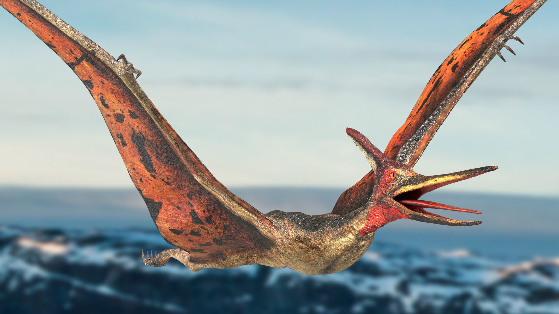 Pteranodon Rigged Animated 3D model Low-poly 3D model_2
